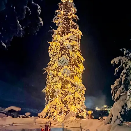 בית חווה Burgerhof