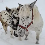 Farmház Burgerhof Pettneu am Arlberg